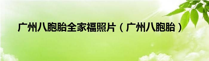 广州八胞胎全家福照片（广州八胞胎）