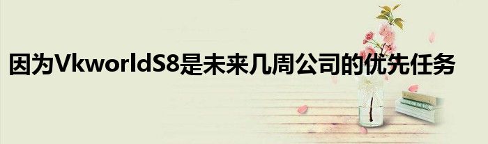 因为VkworldS8是未来几周公司的优先任务