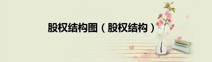 股权结构图（股权结构）