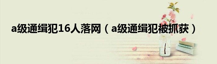 a级通缉犯16人落网（a级通缉犯被抓获）
