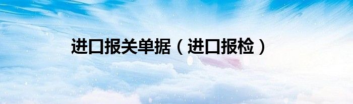 进口报关单据（进口报检）