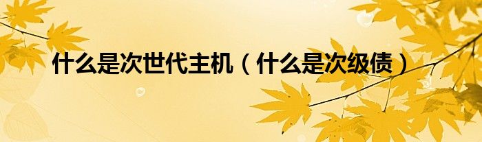 什么是次世代主机（什么是次级债）