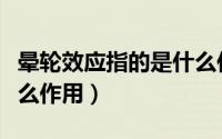 晕轮效应指的是什么作用（晕轮效应指的是什么作用）