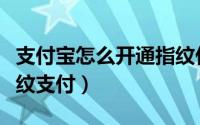 支付宝怎么开通指纹付款（支付宝怎么开通指纹支付）
