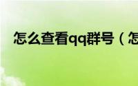 怎么查看qq群号（怎么查看qq群主是谁）