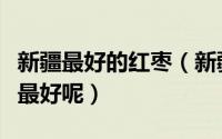 新疆最好的红枣（新疆有哪几种红枣哪个品质最好呢）