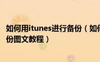 如何用itunes进行备份（如何用itunes备份,怎样用itunes备份图文教程）