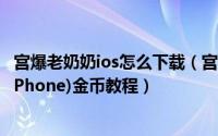 宫爆老奶奶ios怎么下载（宫爆老奶奶金币修改(iOS版iPad/iPhone)金币教程）
