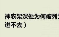 神农架深处为何被列为禁区（神农架深处为何进不去）