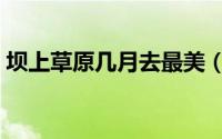 坝上草原几月去最美（坝上草原几月份去好）