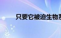 只要它被迫生物系统就会产生合作
