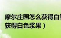摩尔庄园怎么获得白鲸热气球（摩尔庄园怎么获得白色浆果）