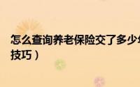 怎么查询养老保险交了多少年（支付宝查询社保缴纳年限的技巧）