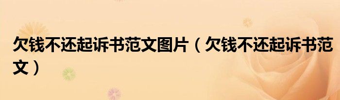 欠钱不还起诉书范文图片（欠钱不还起诉书范文）