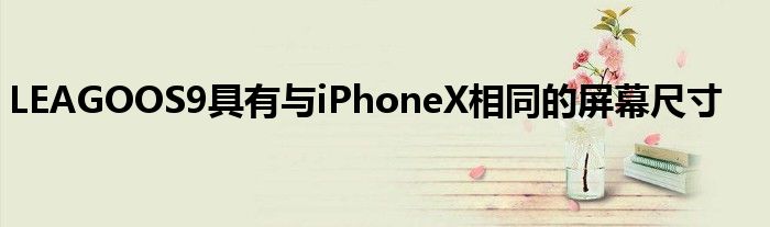 LEAGOOS9具有与iPhoneX相同的屏幕尺寸