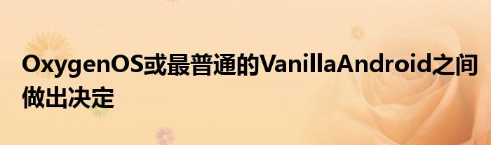 OxygenOS或最普通的VanillaAndroid之间做出决定