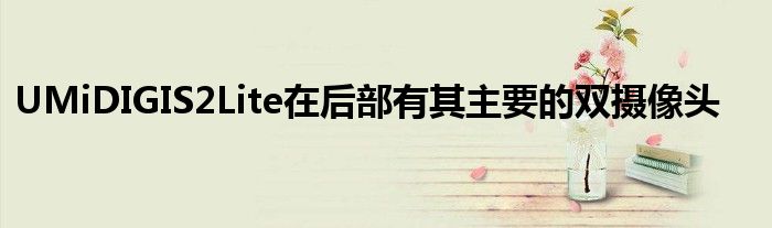 UMiDIGIS2Lite在后部有其主要的双摄像头