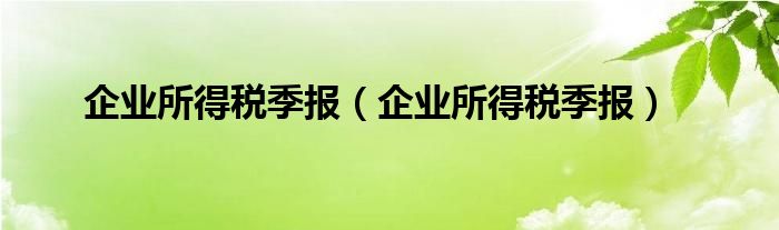 企业所得税季报（企业所得税季报）
