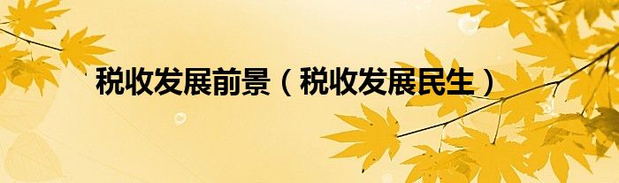 税收发展前景（税收发展民生）