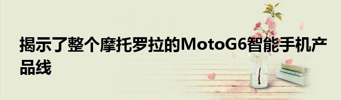 揭示了整个摩托罗拉的MotoG6智能手机产品线