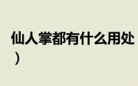 仙人掌都有什么用处（仙人掌到底有什么用处）