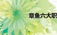 章鱼六大职业特征分析
