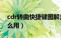 cdr转曲快捷键图解步骤（cdr转曲快捷键怎么用）