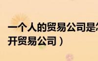 一个人的贸易公司是怎么运作的（一个人怎么开贸易公司）
