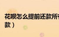 花呗怎么提前还款所有分期（花呗怎么提前还款）