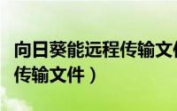 向日葵能远程传输文件吗（用向日葵如何远程传输文件）