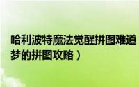 哈利波特魔法觉醒拼图难道（哈利波特魔法觉醒噩梦或是美梦的拼图攻略）