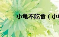 小龟不吃食（小龟不吃食怎么办）