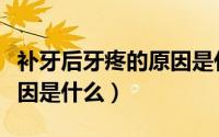 补牙后牙疼的原因是什么牙（补牙后牙疼的原因是什么）
