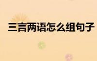 三言两语怎么组句子（三言两语怎么解释）
