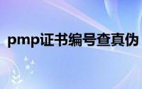 pmp证书编号查真伪（pmp证书编号查询）