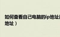 如何查看自己电脑的ip地址是多少（如何查看自己电脑的IP地址）