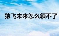 猿飞未来怎么领不了（猿飞未来怎么获得）
