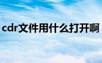 cdr文件用什么打开啊（cdr文件用什么打开）