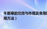 牛筋草的功效与作用及食用图片（牛筋草的功效与作用及食用方法）