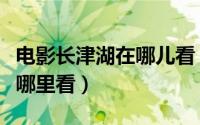电影长津湖在哪儿看（长津湖之水门桥电影在哪里看）
