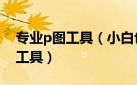 专业p图工具（小白也能轻松学会的在线P图工具）