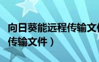 向日葵能远程传输文件吗（用向日葵如何远程传输文件）