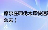 摩尔庄园伐木场快速采集（摩尔庄园伐木场怎么去）