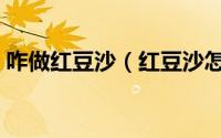 咋做红豆沙（红豆沙怎么做如何自己做豆沙）
