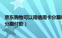 京东购物可以用信用卡分期吗（京东上买东西怎么用信用卡分期付款）