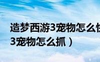 造梦西游3宠物怎么快速获得潜力（造梦西游3宠物怎么抓）