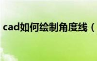 cad如何绘制角度线（CAD如何绘制平面图）