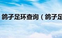 鸽孑足环查询（鸽子足环怎么查询鸽子信息）