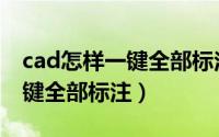 cad怎样一键全部标注坐标对齐（cad怎样一键全部标注）