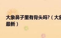 大象鼻子里有骨头吗?（大象鼻子里有骨头吗蚂蚁庄园答案最新）